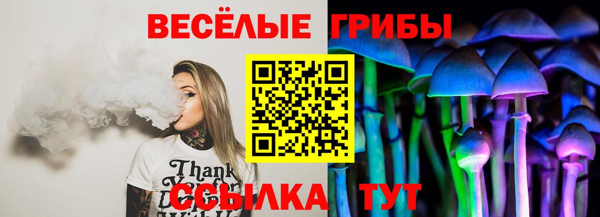 Псилоцибиновые грибы мицелий  Вход с VPN  Галлюциногенные грибы Magic Shrooms  наркошоп  Пугачёв 
